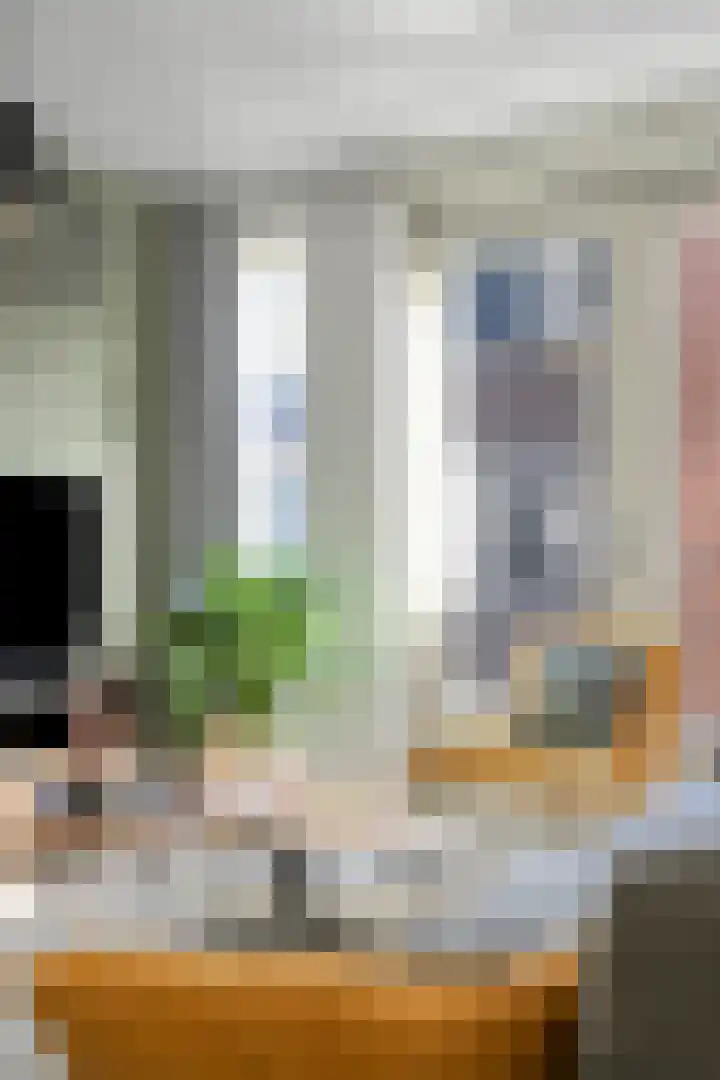 Carmelietenstraat-oost 4 a Boxmeer thumbnail 17