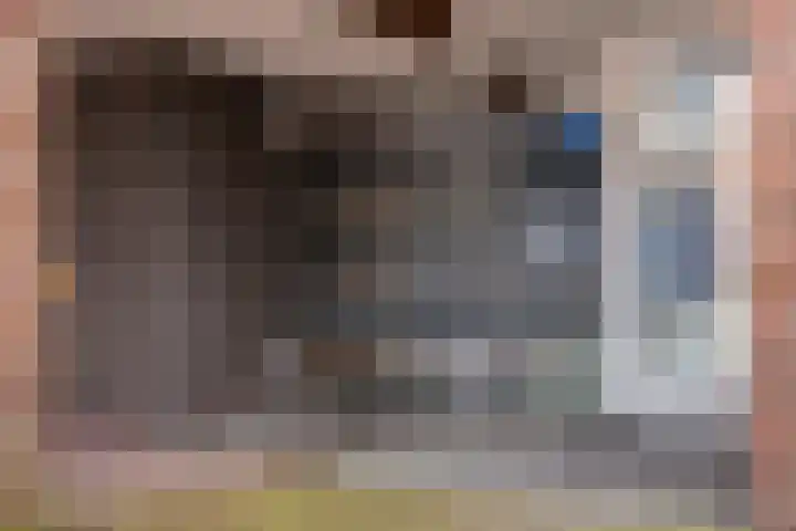 Carmelietenstraat-oost 4 d Boxmeer thumbnail 6