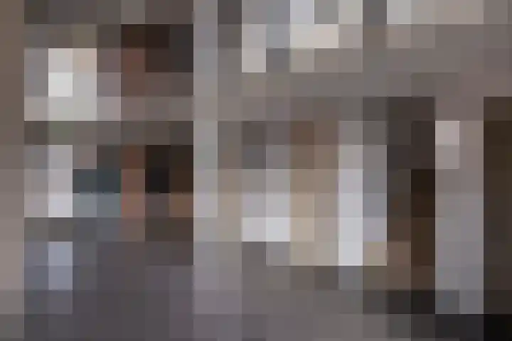 Carmelietenstraat-oost 4 d Boxmeer thumbnail 7
