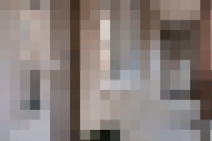 Carmelietenstraat-oost 4 d Boxmeer thumbnail 8