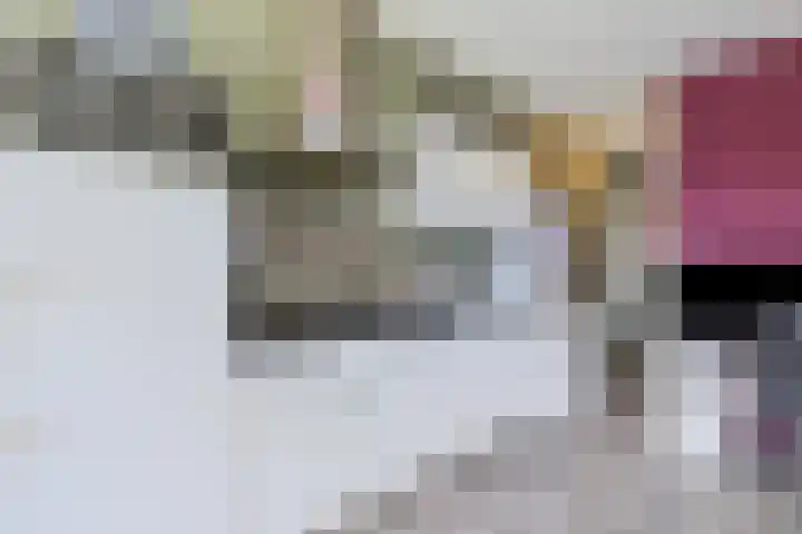 Carmelietenstraat-oost 6 c Boxmeer thumbnail 6