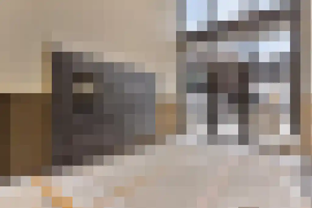 Carmelietenstraat Oss thumbnail 5