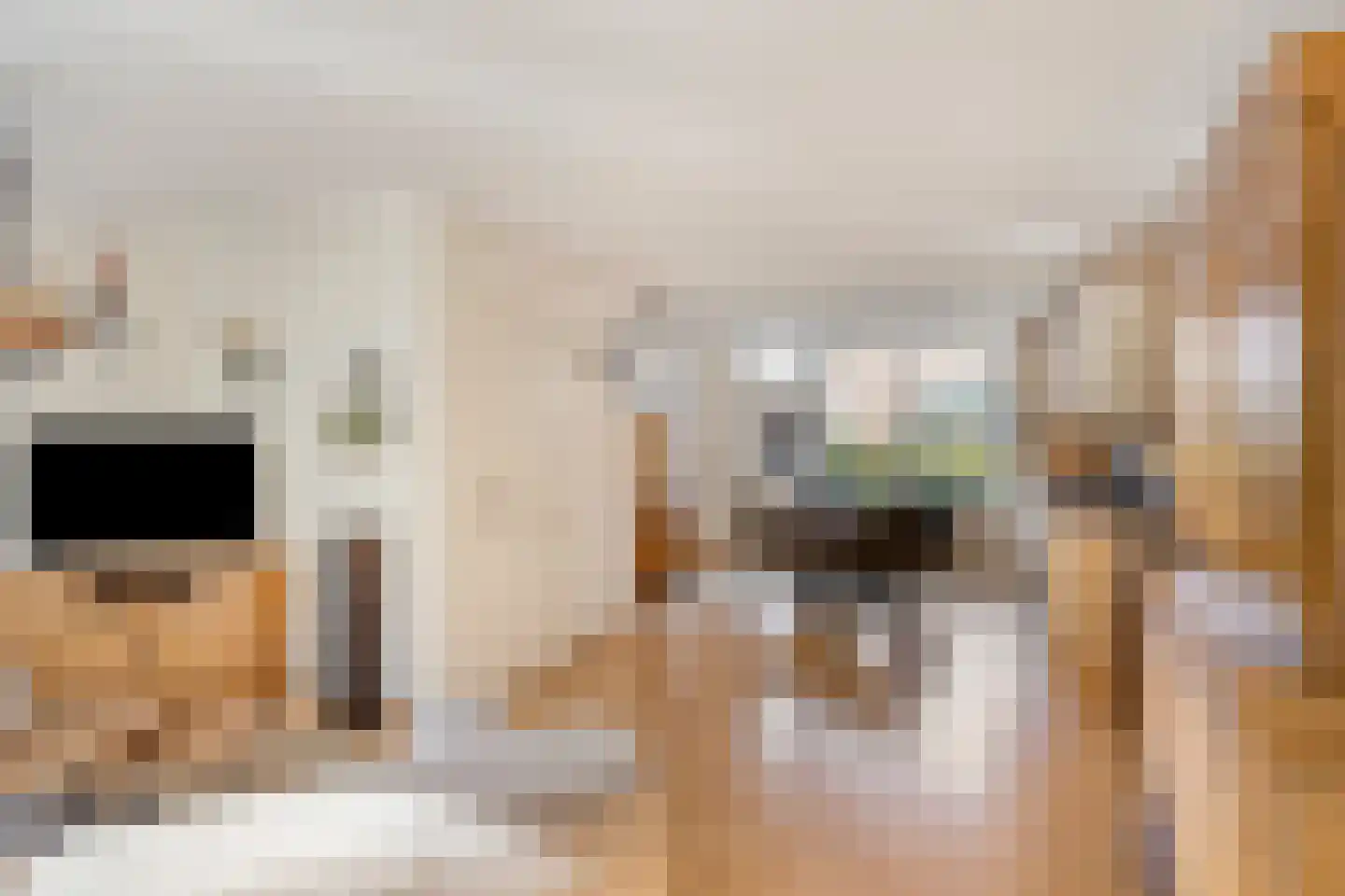 Carmelietenstraat-west 21 Boxmeer thumbnail 11