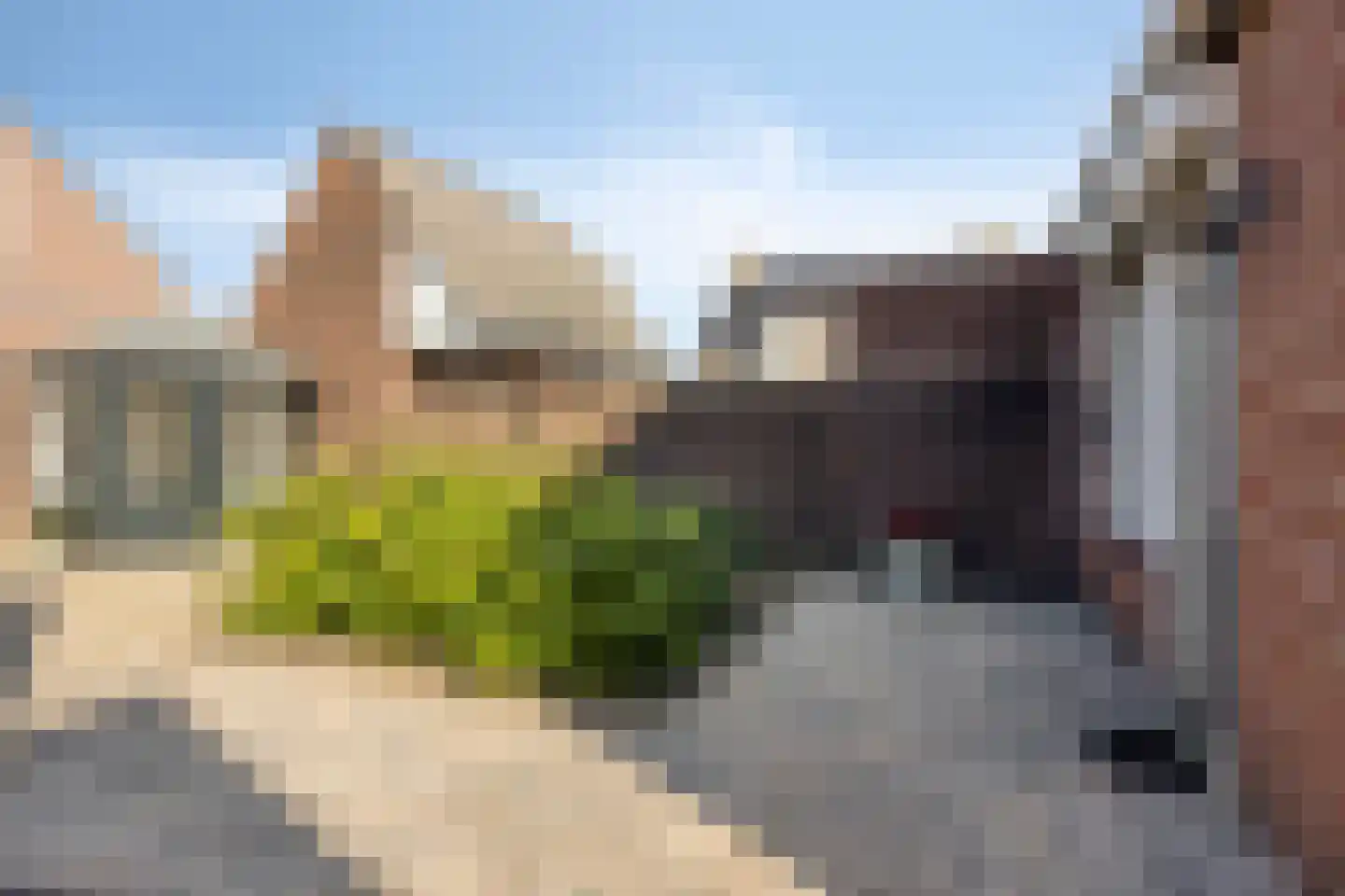 Carmelietenstraat-west 21 Boxmeer thumbnail 25