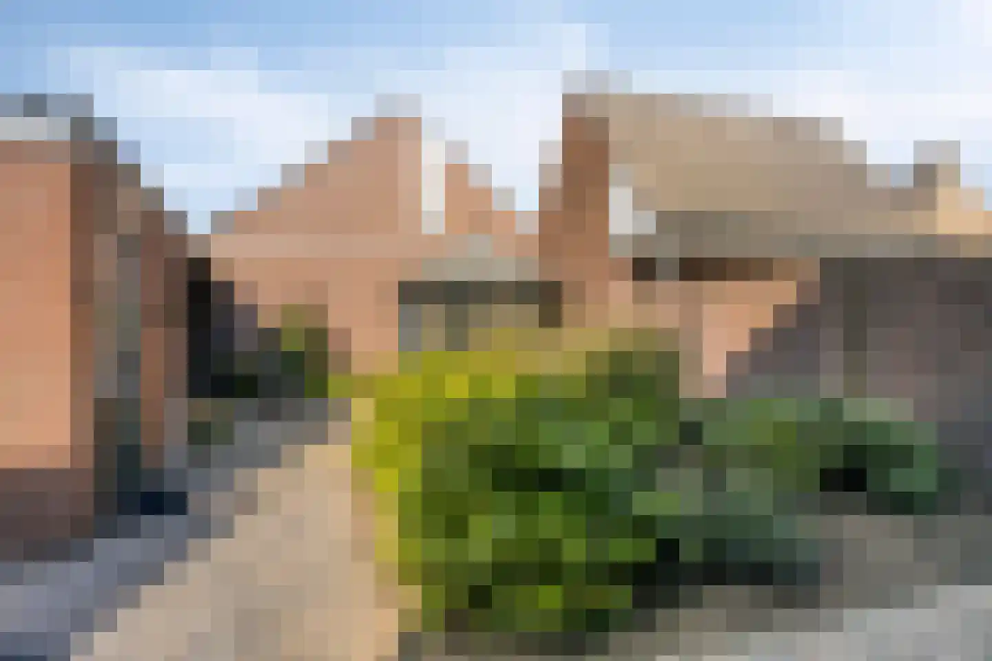 Carmelietenstraat-west 21 Boxmeer thumbnail 28