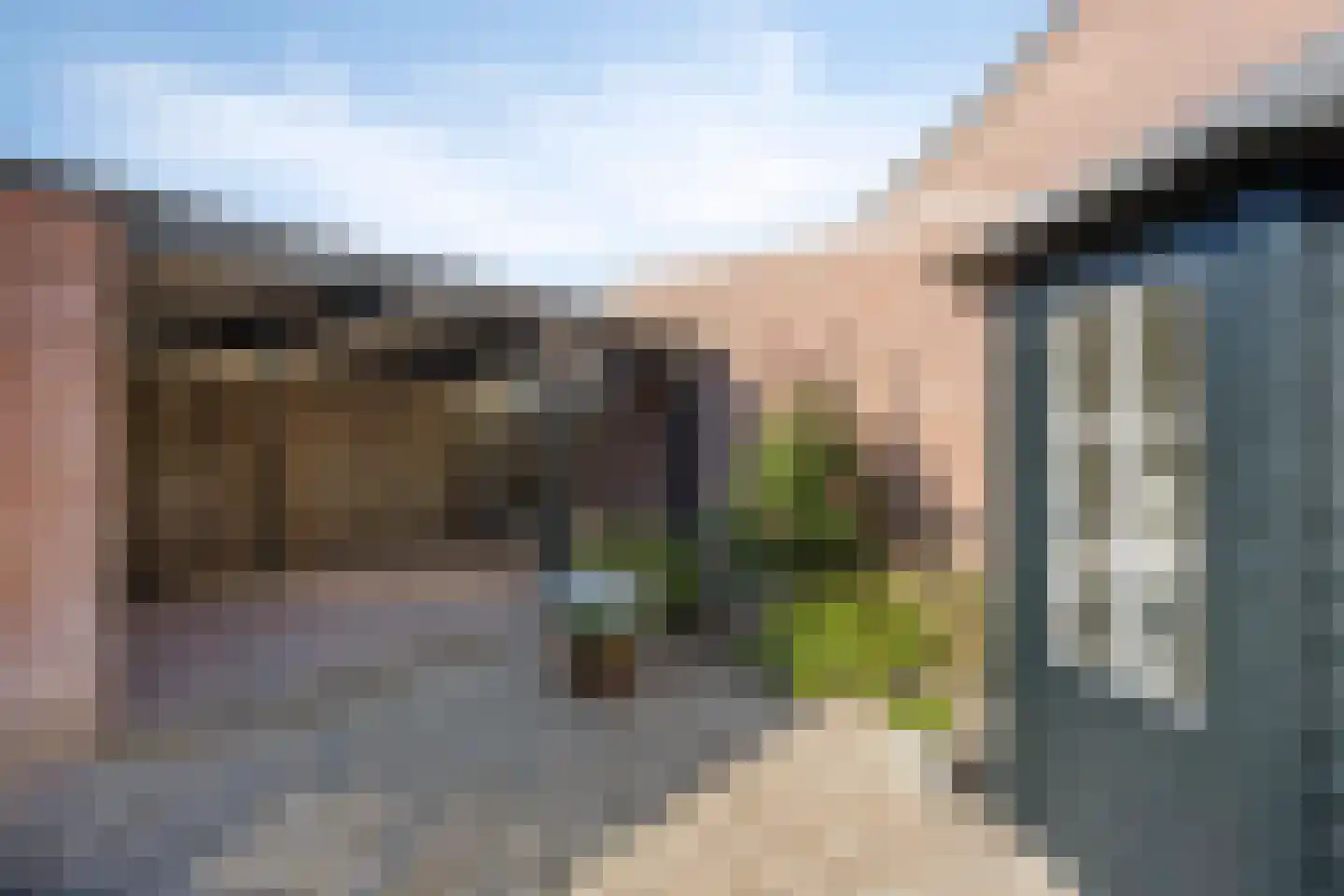Carmelietenstraat-west 21 Boxmeer thumbnail 29