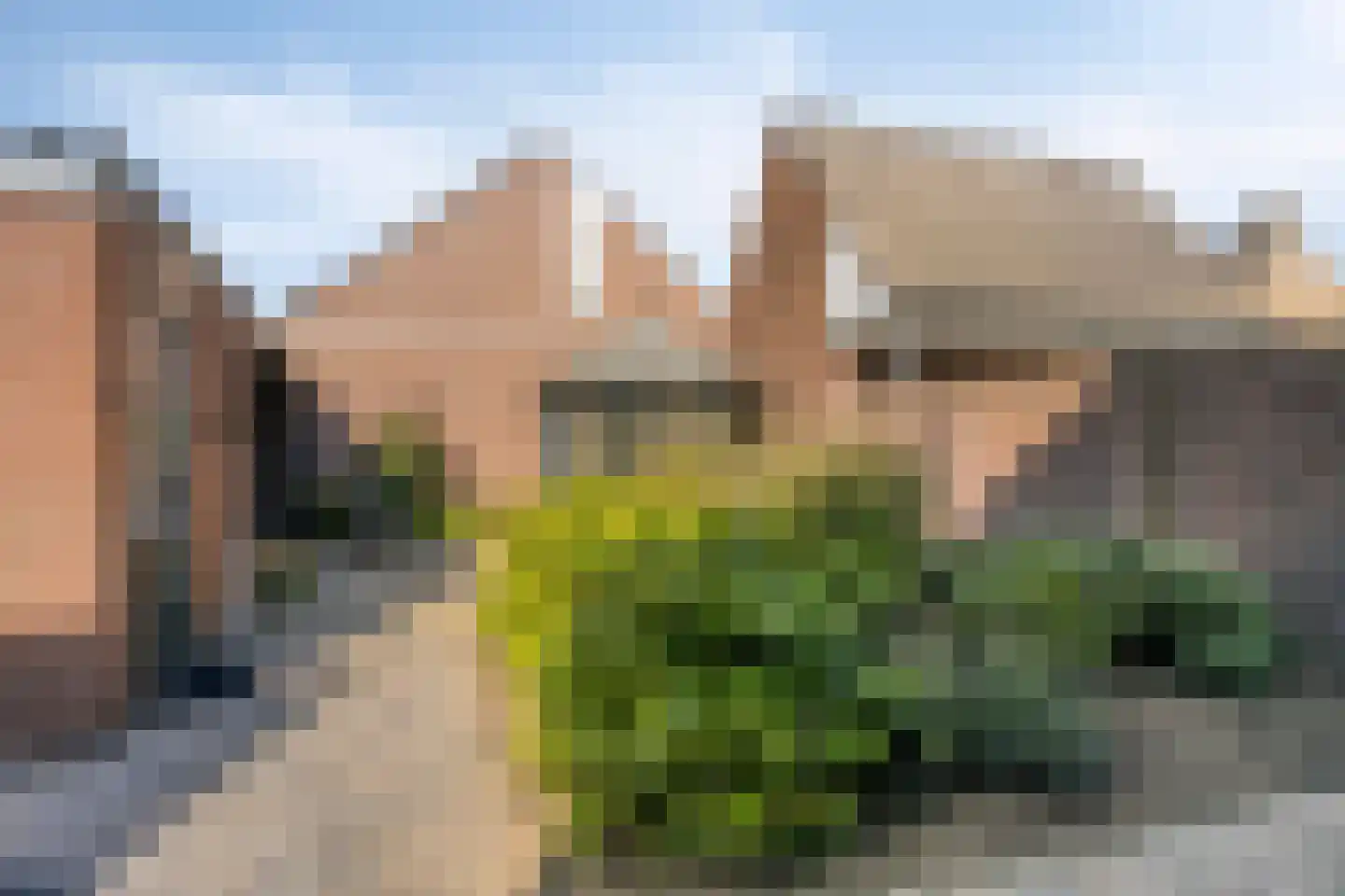 Carmelietenstraat-west 21 Boxmeer thumbnail 5