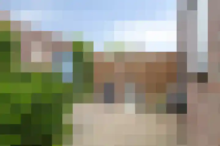 Carmelietenstraat-west 41 Boxmeer thumbnail 26