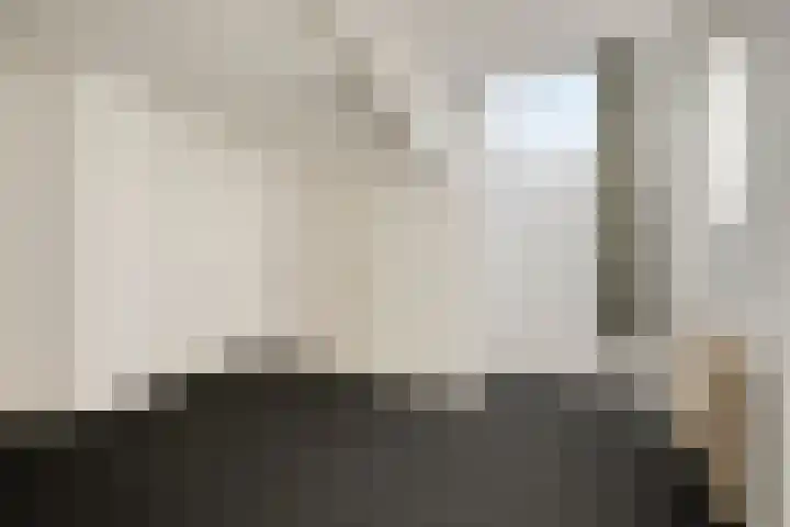 Carmelietenstraat-west 5 Boxmeer thumbnail 16