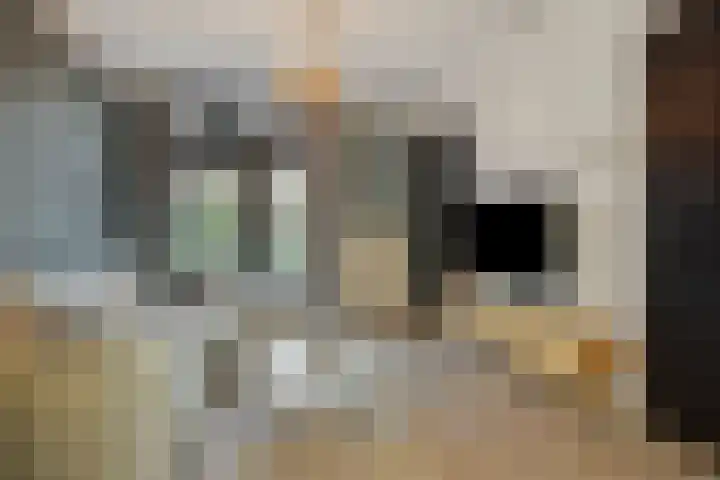 Carmelitessenstraat 29 Eindhoven thumbnail 12