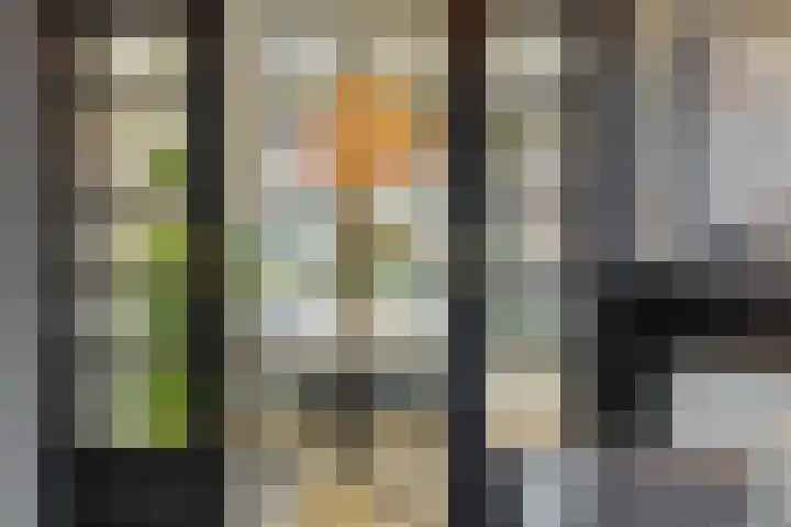 Carmelitessenstraat 29 Eindhoven thumbnail 20