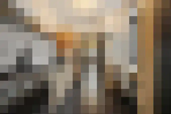 Carmelitessenstraat 29 Eindhoven thumbnail 25