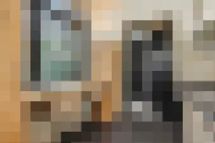 Carmelitessenstraat 29 Eindhoven thumbnail 27