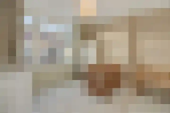 Carmelitessenstraat 29 Eindhoven thumbnail 29