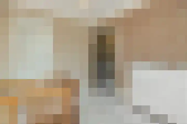 Carmelitessenstraat 29 Eindhoven thumbnail 30