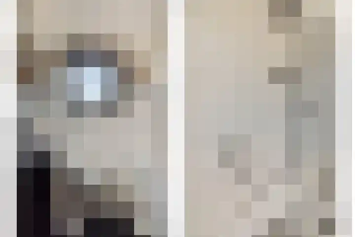 Carmelitessenstraat 29 Eindhoven thumbnail 31