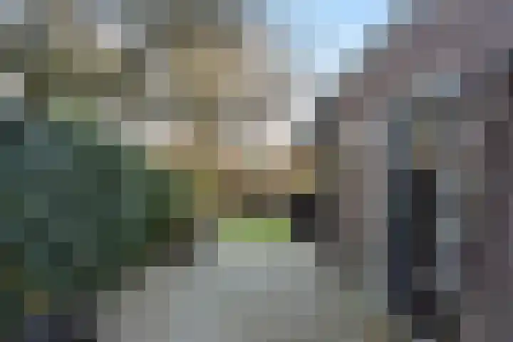 Carmelitessenstraat 29 Eindhoven thumbnail 37