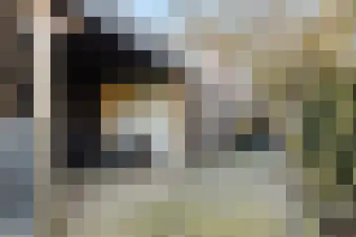 Carmelitessenstraat 29 Eindhoven thumbnail 44