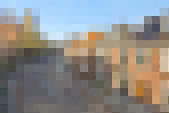 Carmelitessenstraat 29 Eindhoven thumbnail 5