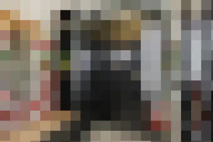 Carmelitessenstraat 29 Eindhoven thumbnail 7
