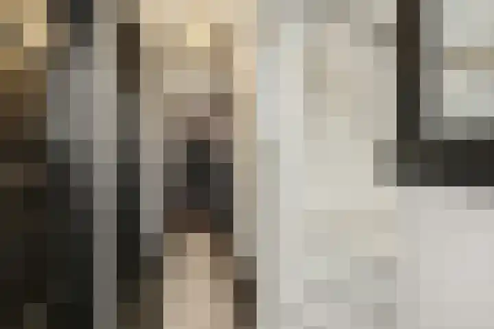 Carmelitessenstraat 29 Eindhoven thumbnail 8
