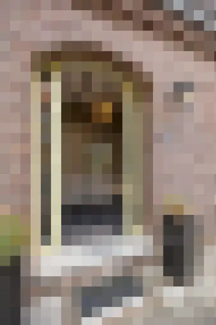 Carmelitessenstraat 30 Roermond thumbnail 5