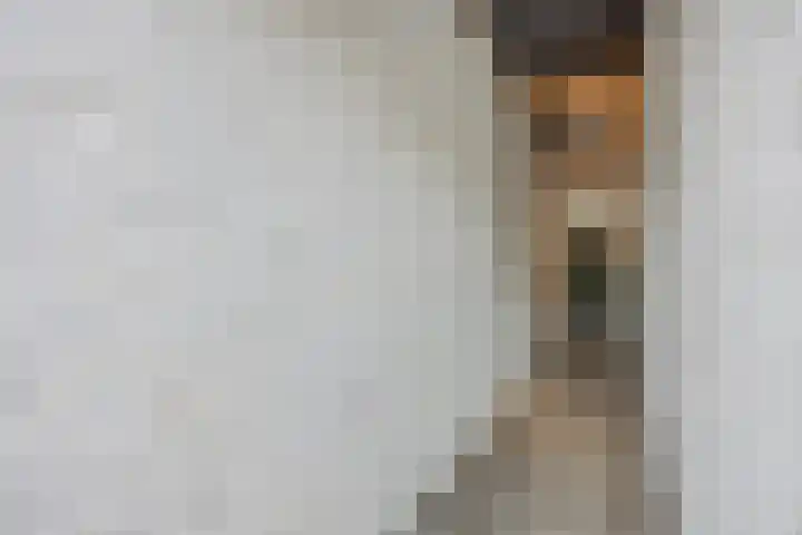 Carmelitessenstraat 35 Eindhoven thumbnail 28