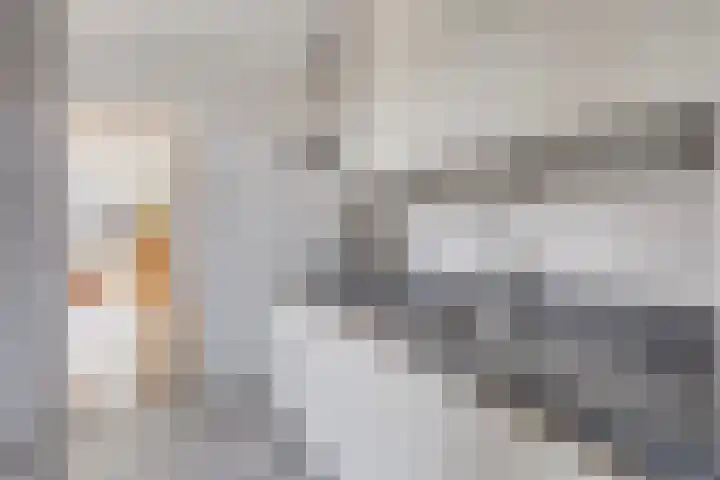 Carmelitessenstraat 35 Eindhoven thumbnail 9