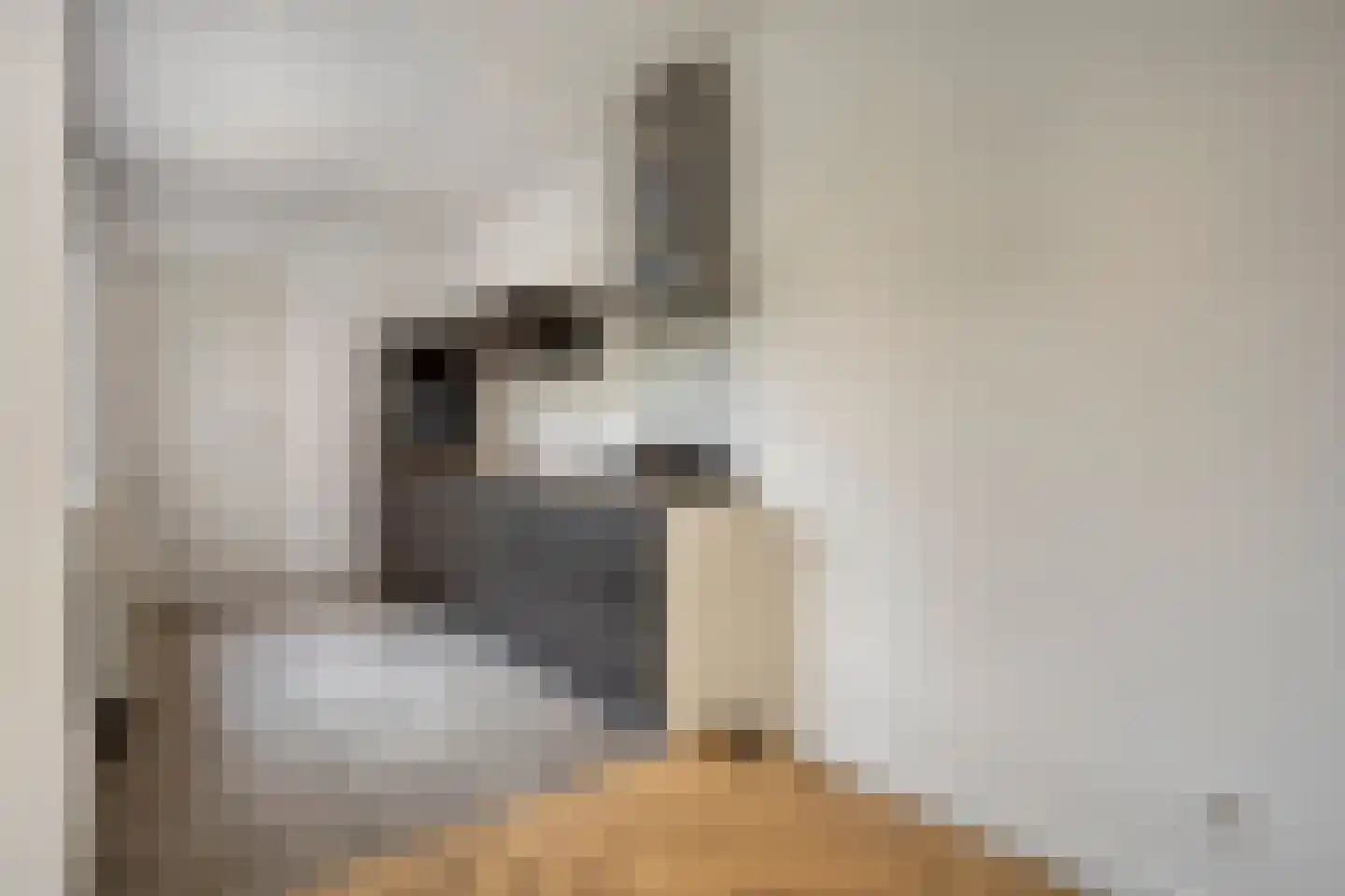 Carmelitessenstraat 37 Eindhoven thumbnail 10