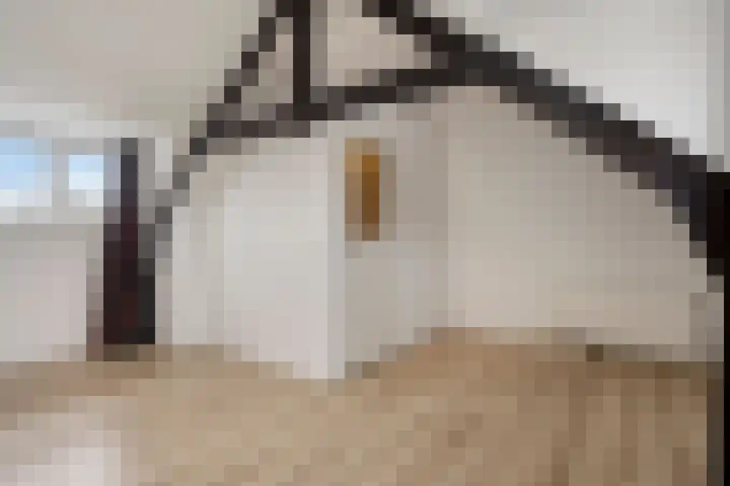 Carmelitessenstraat 37 Eindhoven thumbnail 22