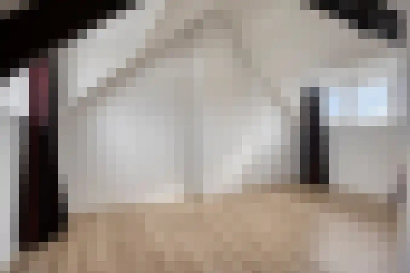 Carmelitessenstraat 37 Eindhoven thumbnail 23