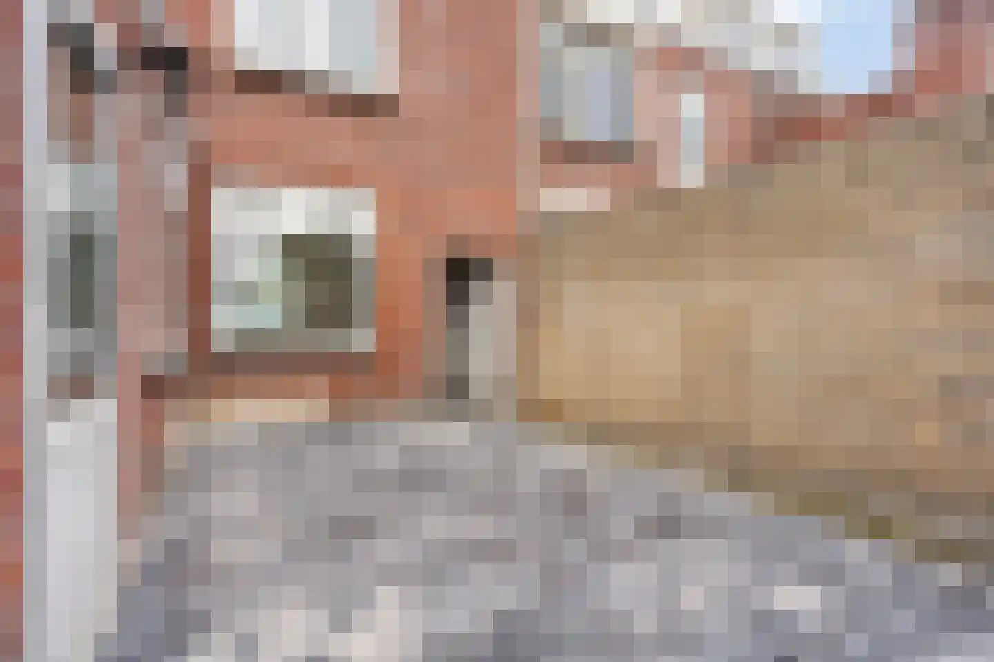 Carmelitessenstraat 37 Eindhoven thumbnail 26