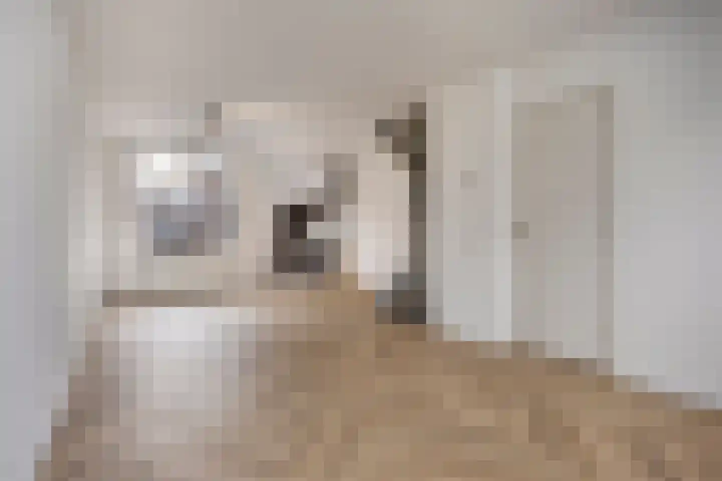 Carmelitessenstraat 37 Eindhoven thumbnail 6