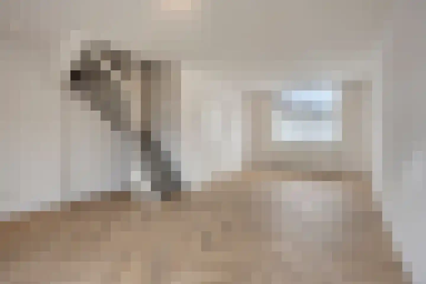Carmelitessenstraat 37 Eindhoven thumbnail 8