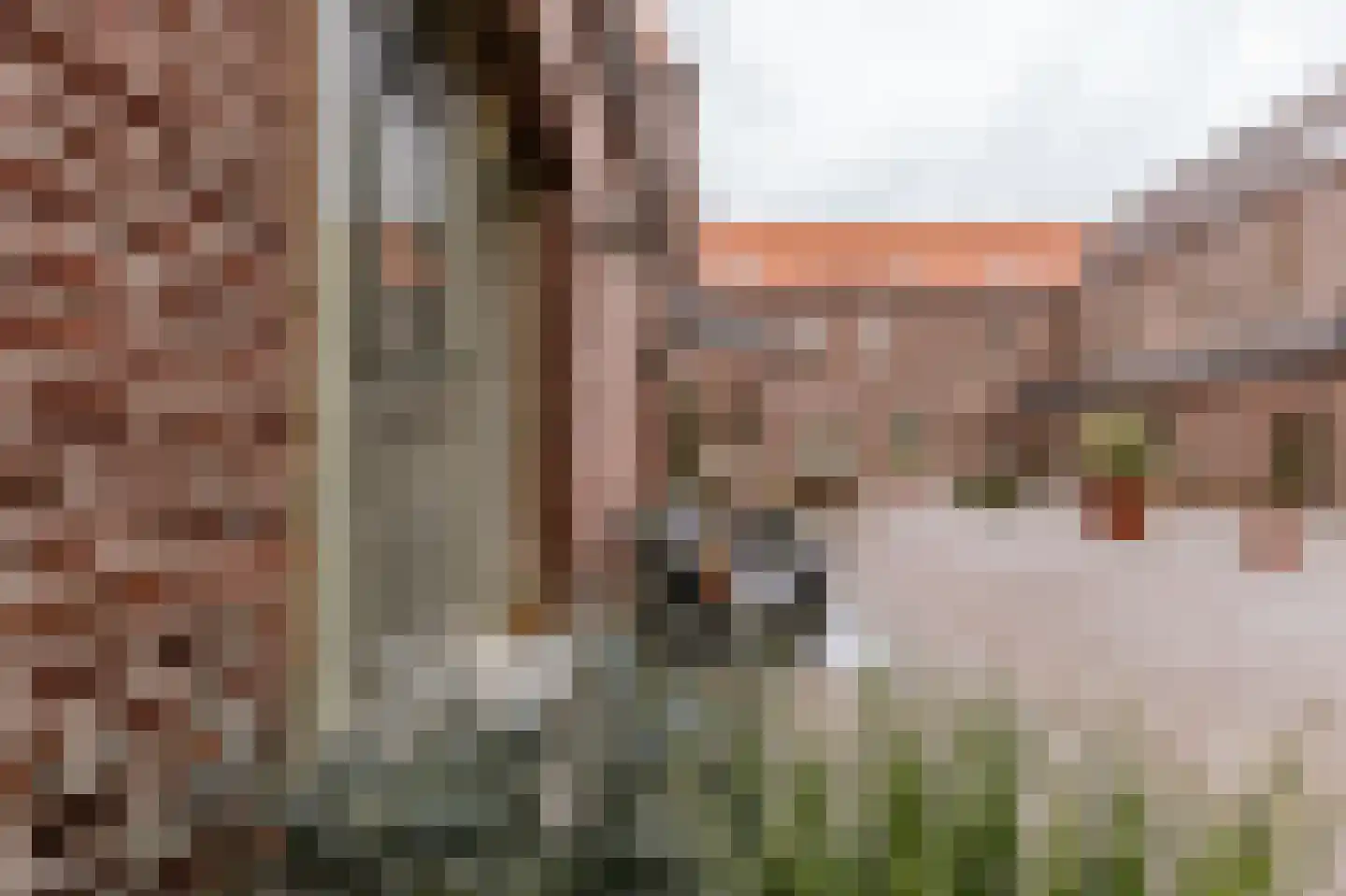 Carmelitessenstraat 44 Roermond thumbnail 10