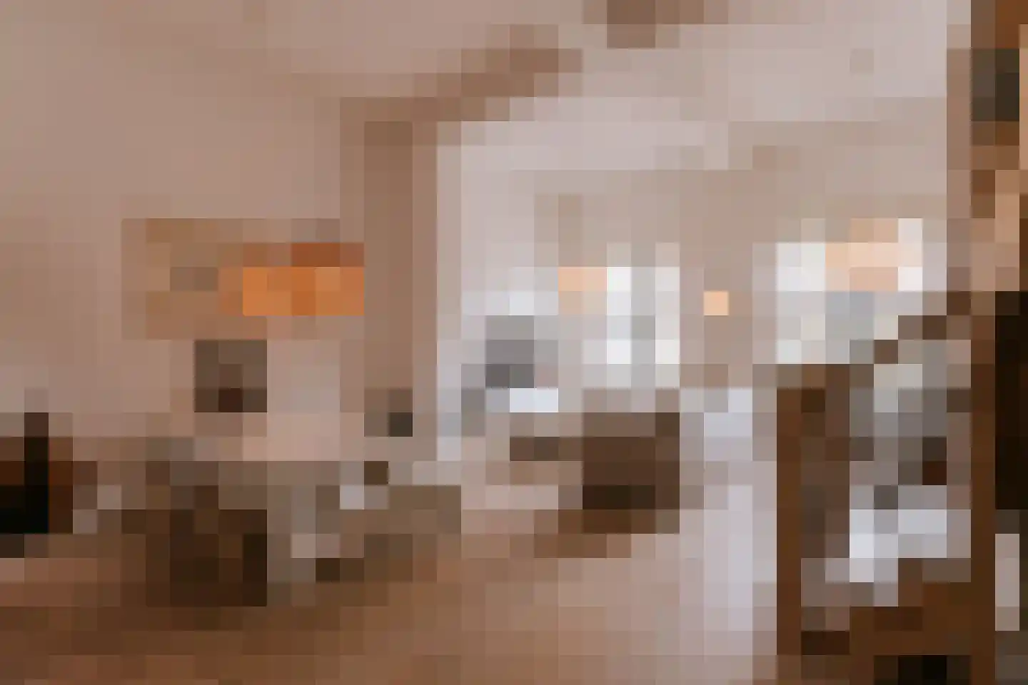 Carmelitessenstraat 44 Roermond thumbnail 12