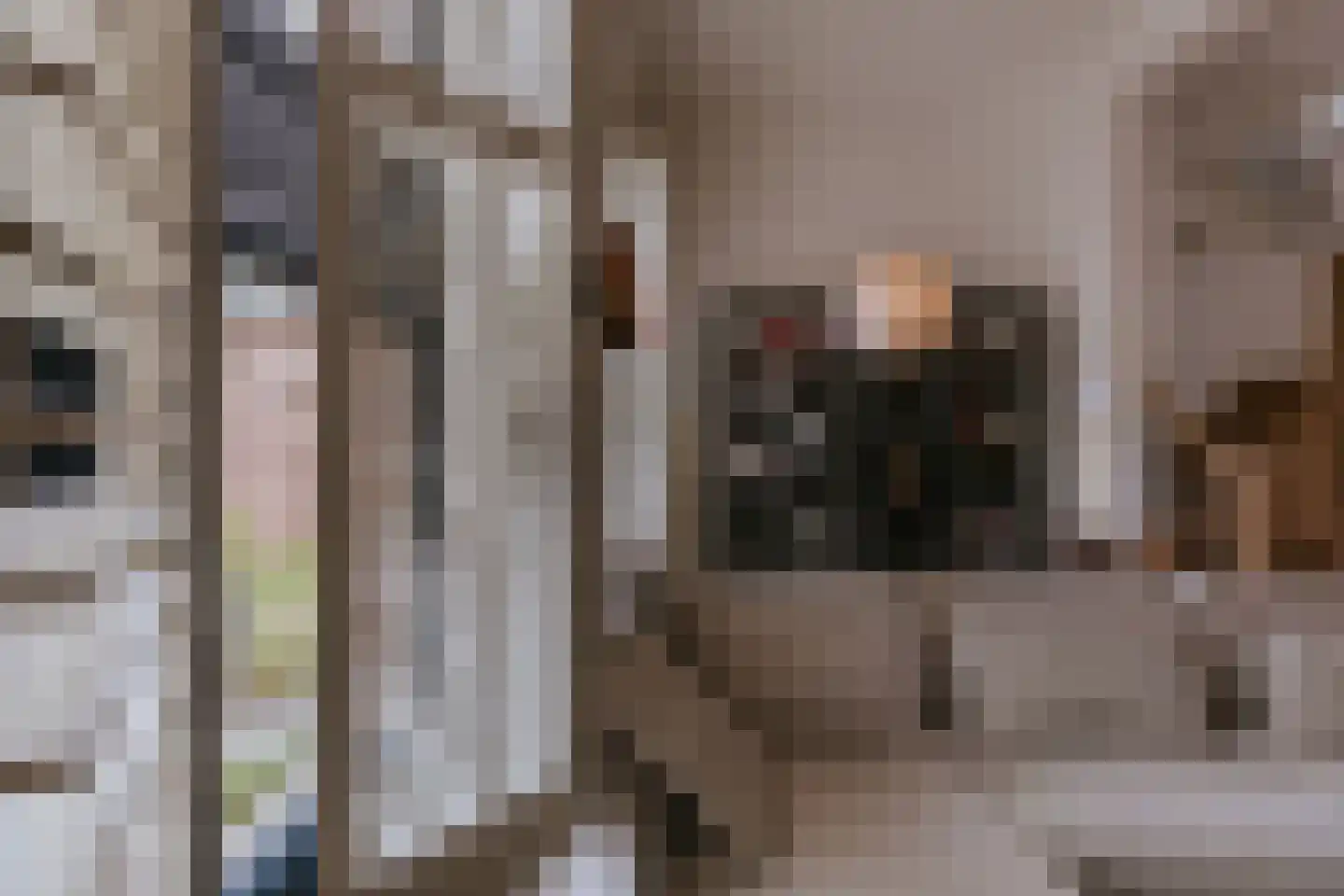 Carmelitessenstraat 44 Roermond thumbnail 13
