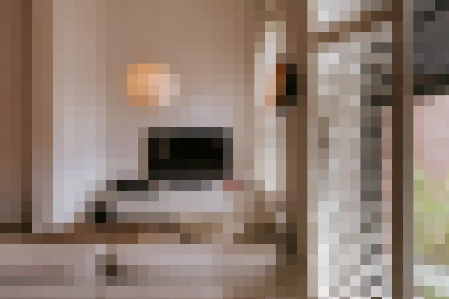Carmelitessenstraat 44 Roermond thumbnail 14