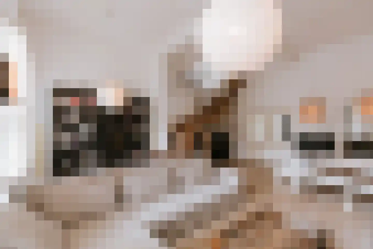 Carmelitessenstraat 44 Roermond thumbnail 16