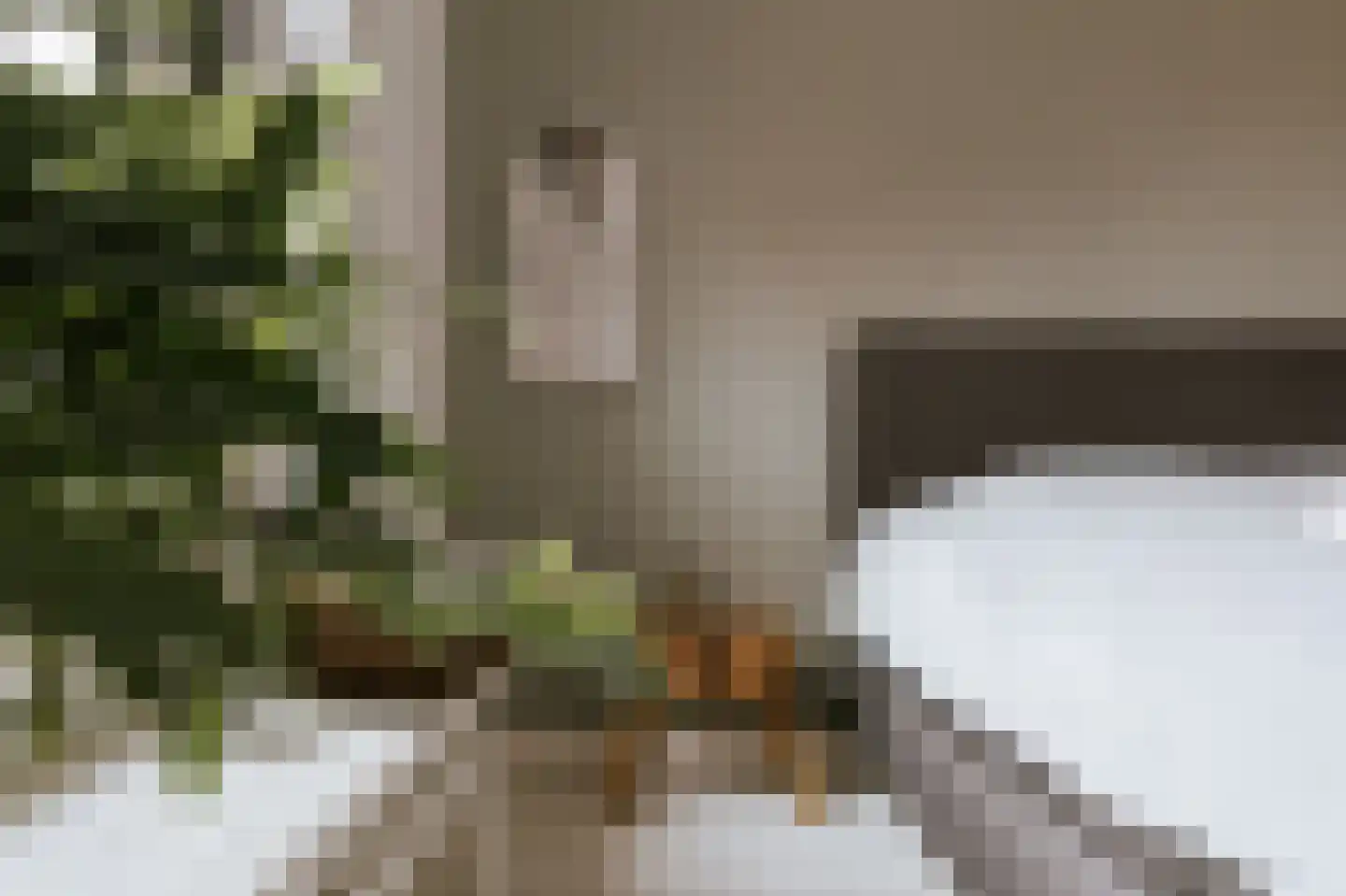 Carmelitessenstraat 44 Roermond thumbnail 39