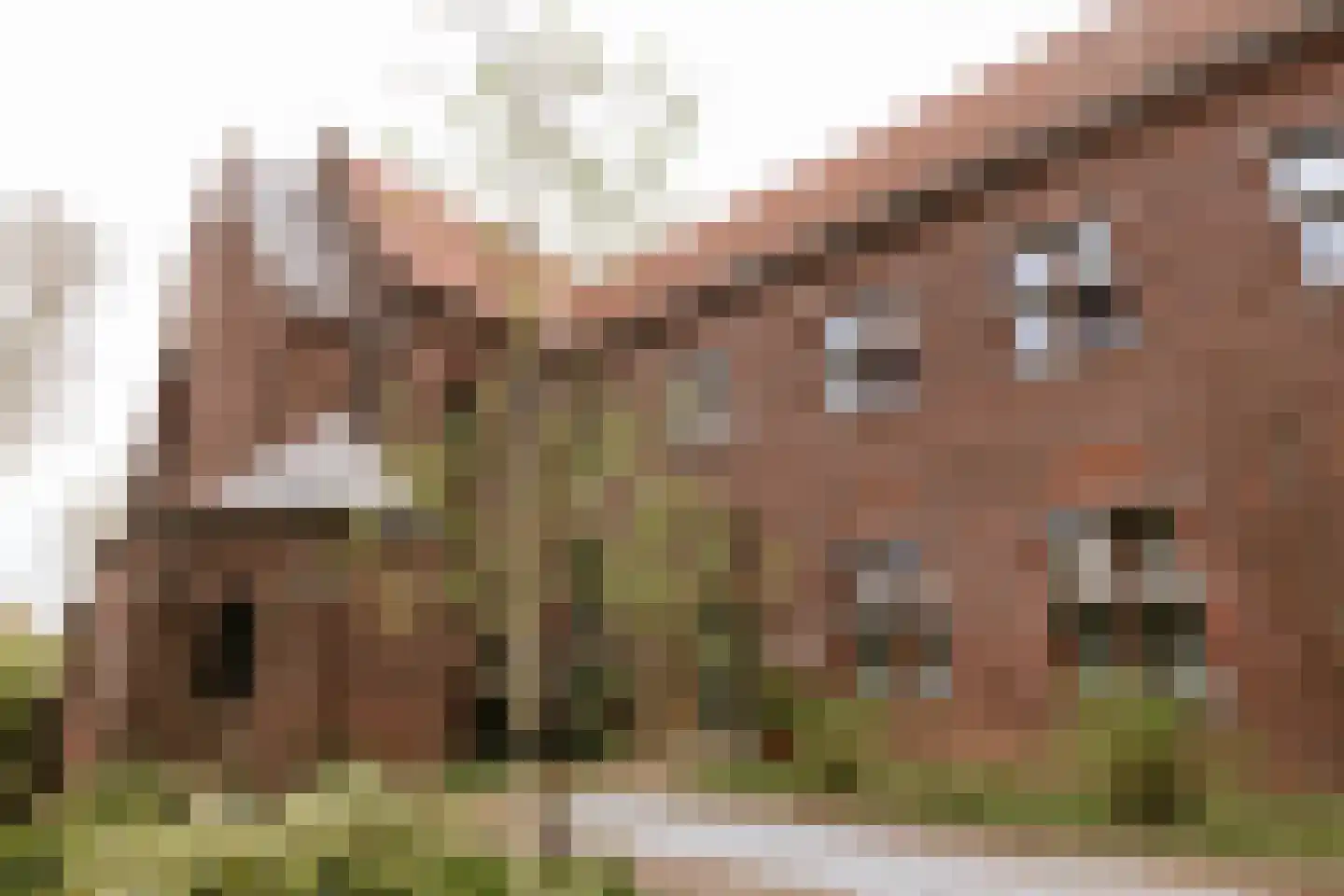 Carmelitessenstraat 44 Roermond thumbnail 4