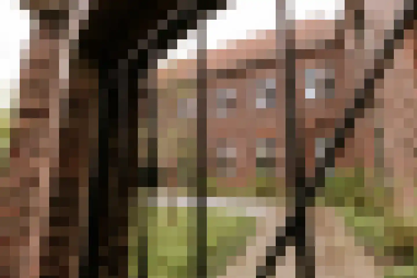 Carmelitessenstraat 44 Roermond thumbnail 6