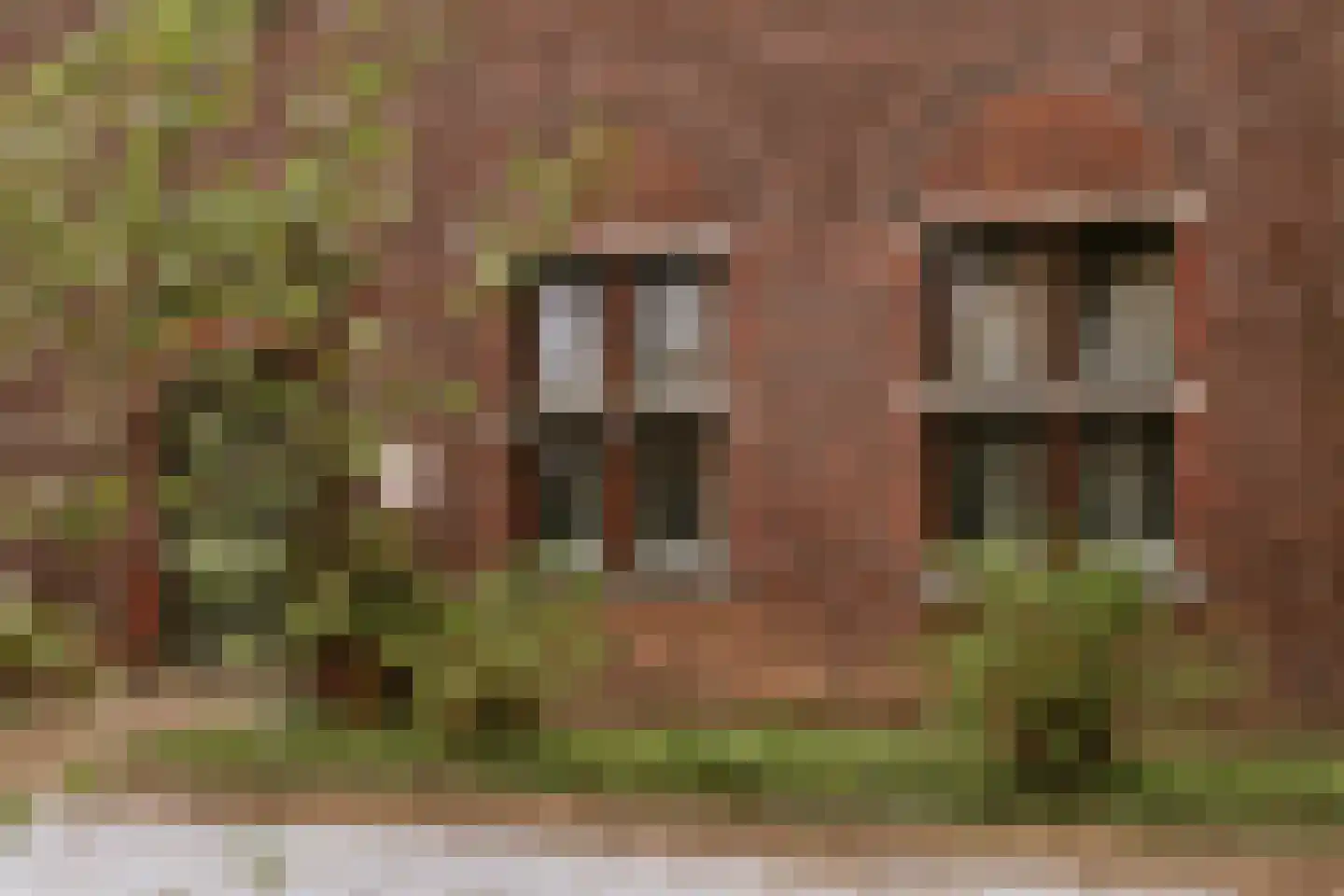Carmelitessenstraat 44 Roermond thumbnail 7