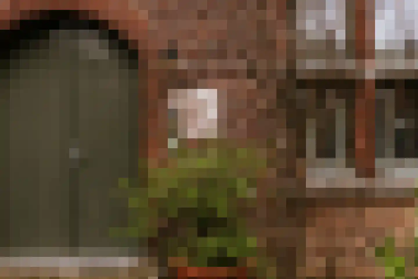 Carmelitessenstraat 44 Roermond thumbnail 8
