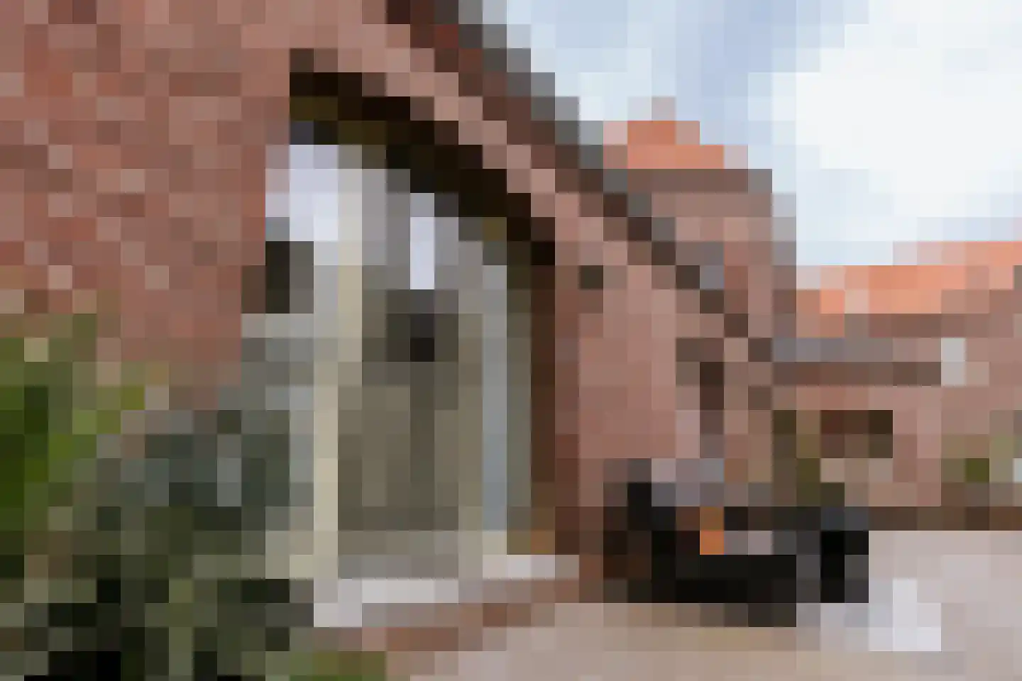 Carmelitessenstraat 44 Roermond thumbnail 9