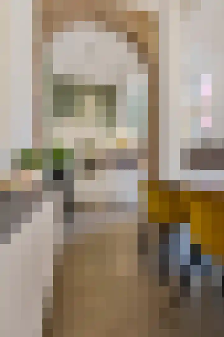 Carmelitessenstraat 46 Roermond thumbnail 18