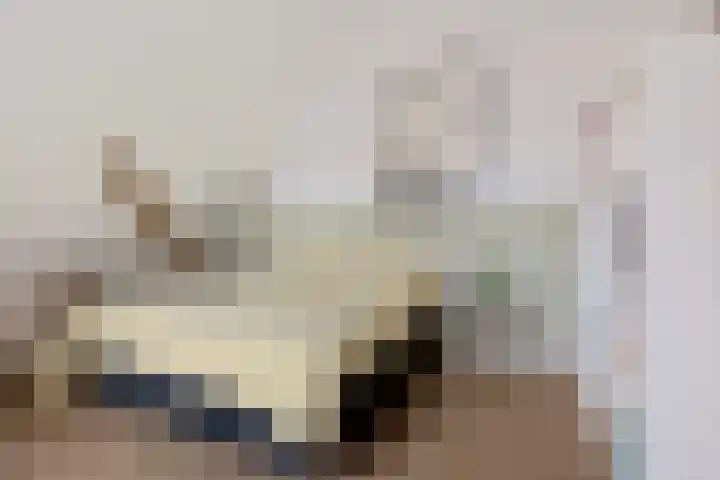 Carmelitessenstraat 46 Roermond thumbnail 33