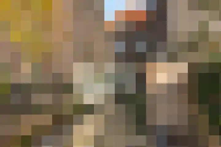 Carmelitessenstraat 46 Roermond thumbnail 36