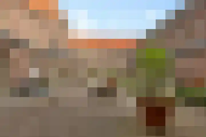 Carmelitessenstraat 46 Roermond thumbnail 47