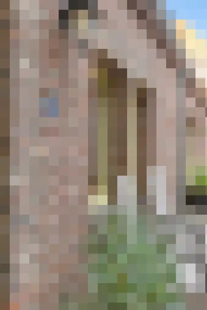 Carmelitessenstraat 46 Roermond thumbnail 5